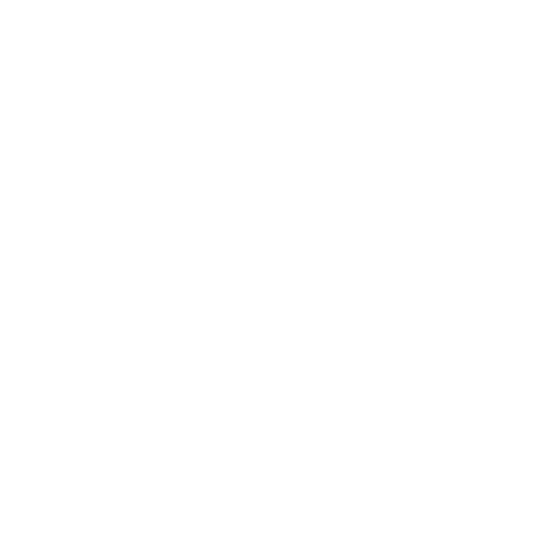ABSOLUT PROGRESS 